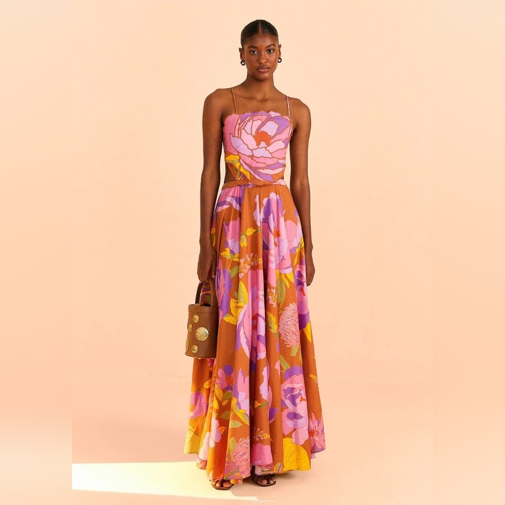 FARM Rio Brown Maxi Dress with Pink, Purple & Yellow Floral Print
